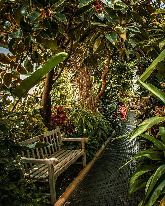 Nature photography by Zack Jenkin
