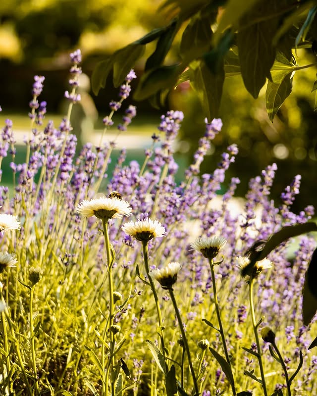 Nature photography by Zack Jenkin