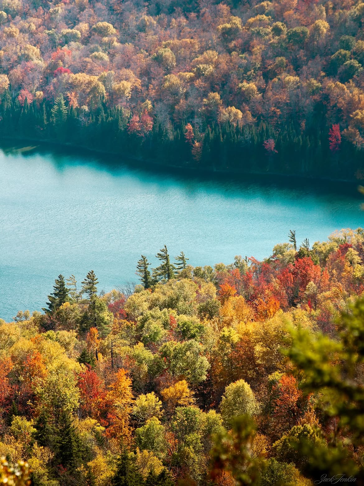 Nature photography by Zack Jenkin